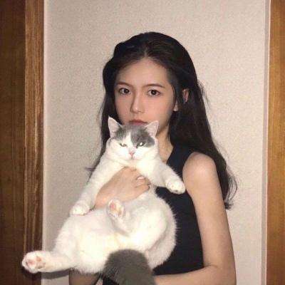 我才不是猪头呢游戏下载